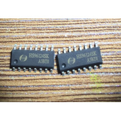 HS96124SK
