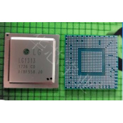 lg1313